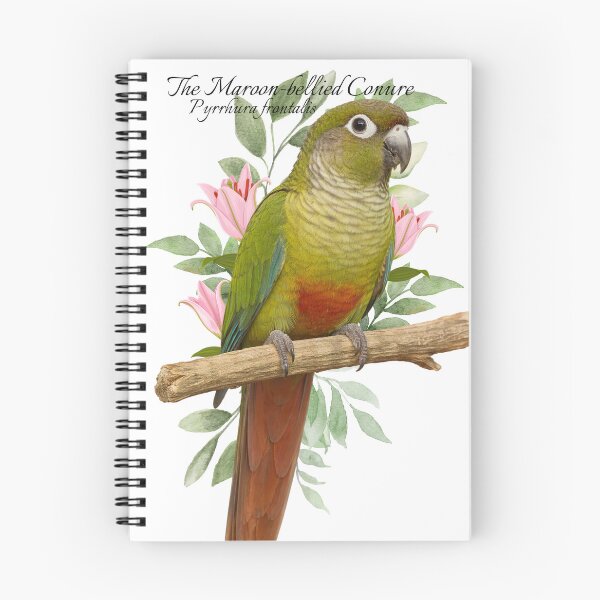 Item preview, The Maroon-bellied Conure Scientific illustration Design designed and sold by AvianDesign.
