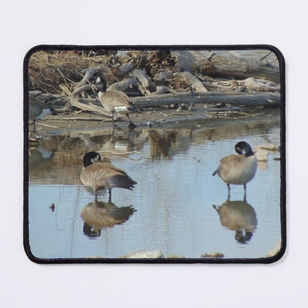 Item preview, Belmar Geese Winter designed and sold by ReccaRedscale.