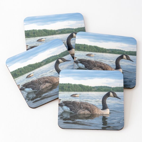Item preview, Canada Geese Lake Cochituate Framingham Massachusetts — New England Wildlife Photography designed and sold by MDCCo.
