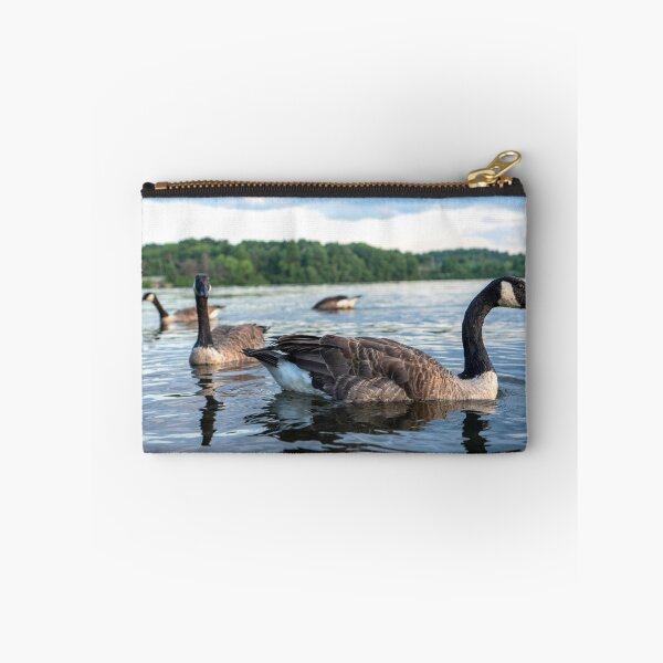 Item preview, Canada Geese Lake Cochituate Framingham Massachusetts — New England Wildlife Photography designed and sold by MDCCo.