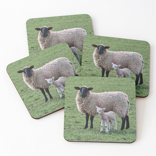 Item preview, Scottish Blackface Sheep designed and sold by Tom McPherson Photography.