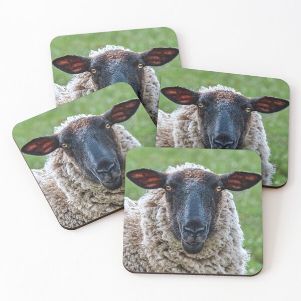 Item preview, The Scottish Blackface  designed and sold by Tom McPherson Photography.