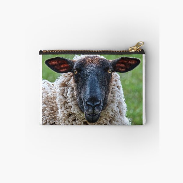 Item preview, The Scottish Blackface  designed and sold by Tom McPherson Photography.