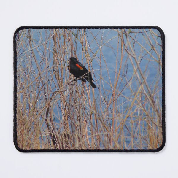 Item preview, Small Sighting 2026 designed and sold by ReccaRedscale.
