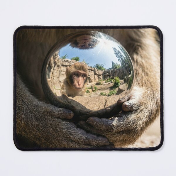 Item preview, Macaque Monkey Sees Reflection in Mirror Ball designed and sold by Tridentulus.