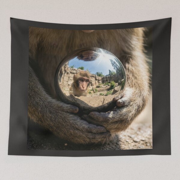 Item preview, Macaque Monkey Sees Reflection in Mirror Ball designed and sold by Tridentulus.