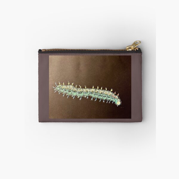 Item preview, Cecropia moth caterpillar designed and sold by junehog.