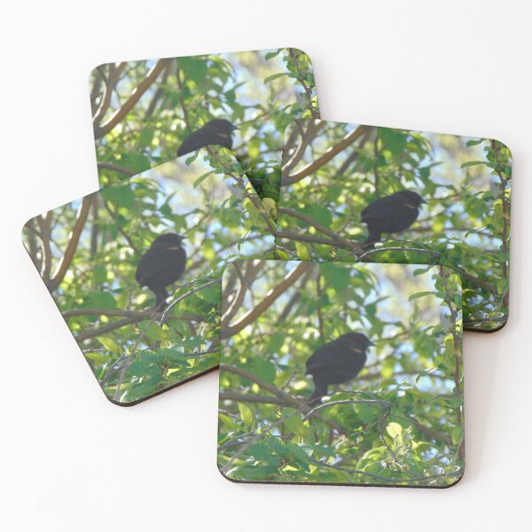 Item preview, Spring 2026 Bird designed and sold by ReccaRedscale.