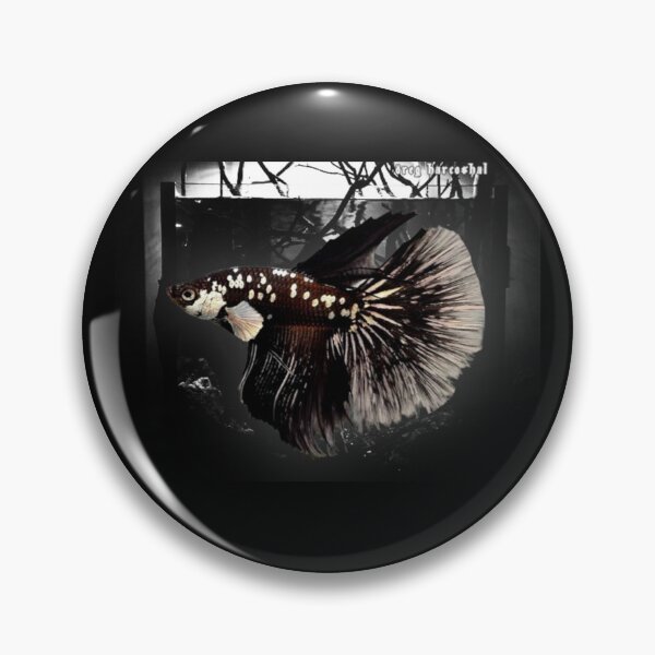 Item preview, The Rare Samurai Betta: Long Fin Warrior designed and sold by oregharcoshal.
