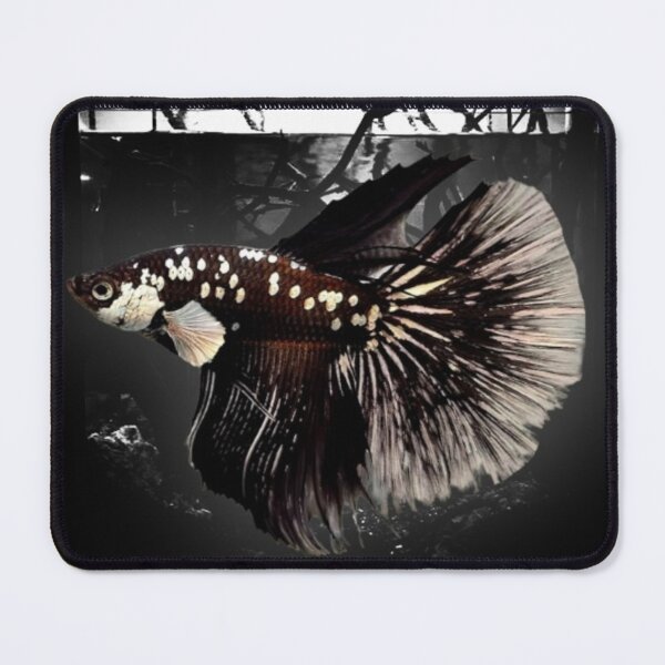 Item preview, The Rare Samurai Betta: Long Fin Warrior designed and sold by oregharcoshal.