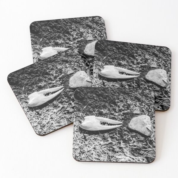 Item preview, Things found at the bottom of a lake designed and sold by Robert Fleetwood.