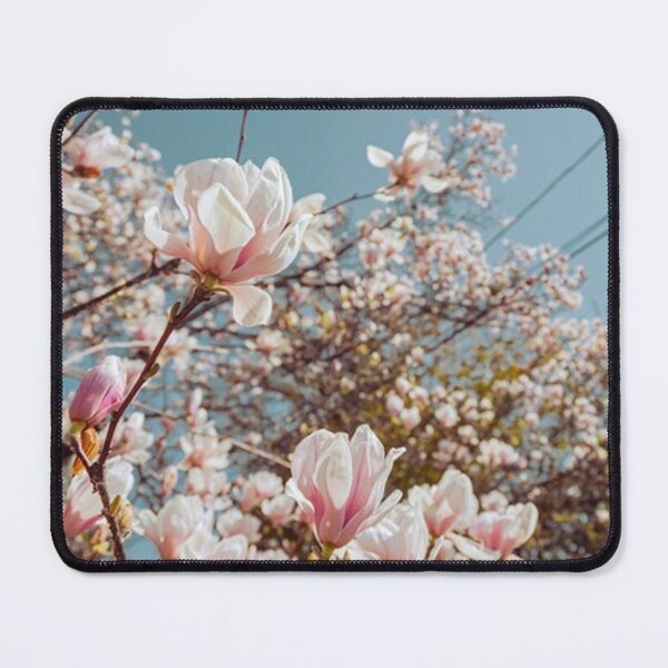 Item preview, Pink Magnolia Blossoms Spring Botanical Photography designed and sold by MDCCo.