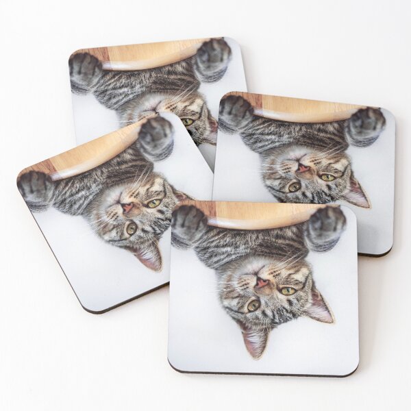 Item preview, Tabby Cat Hanging Upside Down designed and sold by MDCCo.