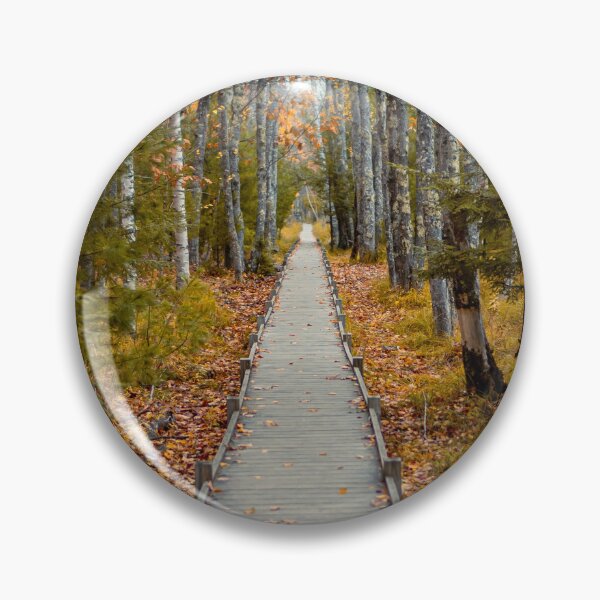 Item preview, Acadia National Park Fall Boardwalk — Autumn Forest Trail Photography Maine designed and sold by MDCCo.