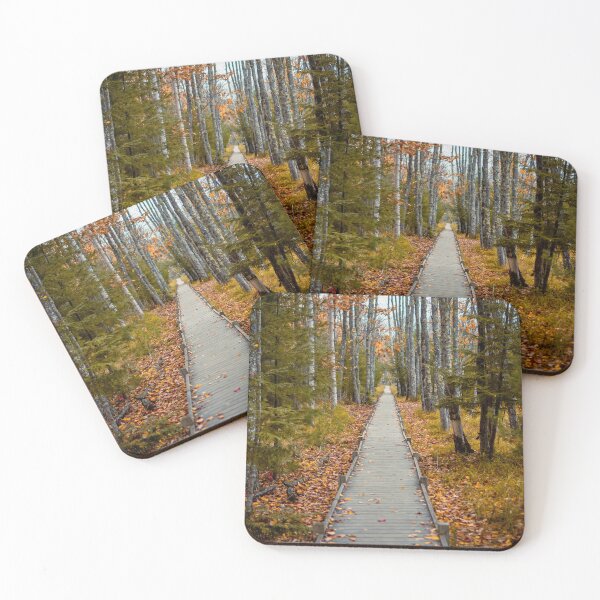 Item preview, Acadia National Park Fall Boardwalk — Autumn Forest Trail Photography Maine designed and sold by MDCCo.
