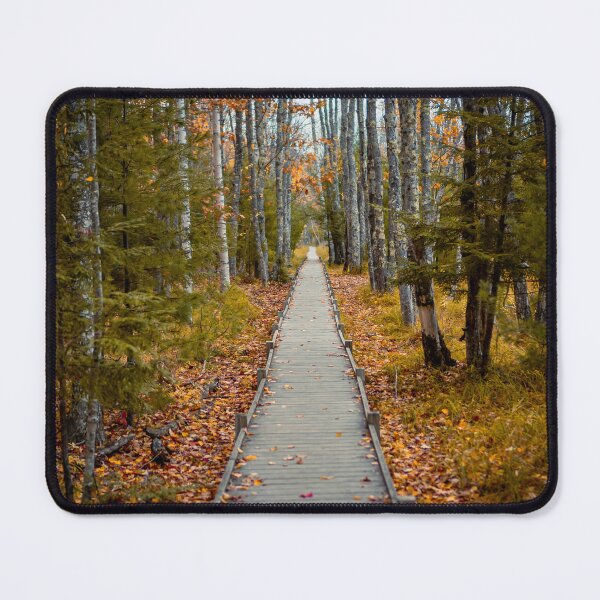 Item preview, Acadia National Park Fall Boardwalk — Autumn Forest Trail Photography Maine designed and sold by MDCCo.