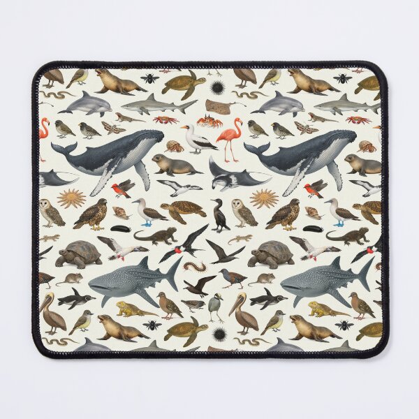 Item preview, Animals of the Galapagos Islands Retro Style Identification Chart designed and sold by kakarikihill.
