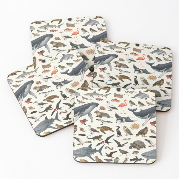 Item preview, Animals of the Galapagos Islands Retro Style Identification Chart designed and sold by kakarikihill.
