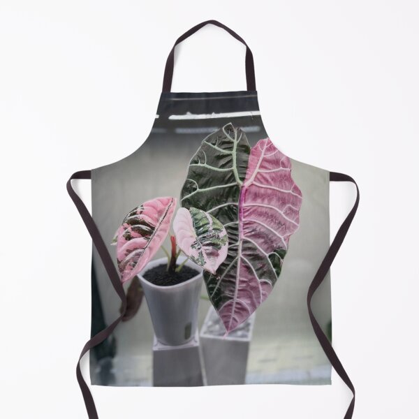 Item preview, Elegant Pink Rita's Ritas Rita s aBliss designed and sold by dishcutnes.
