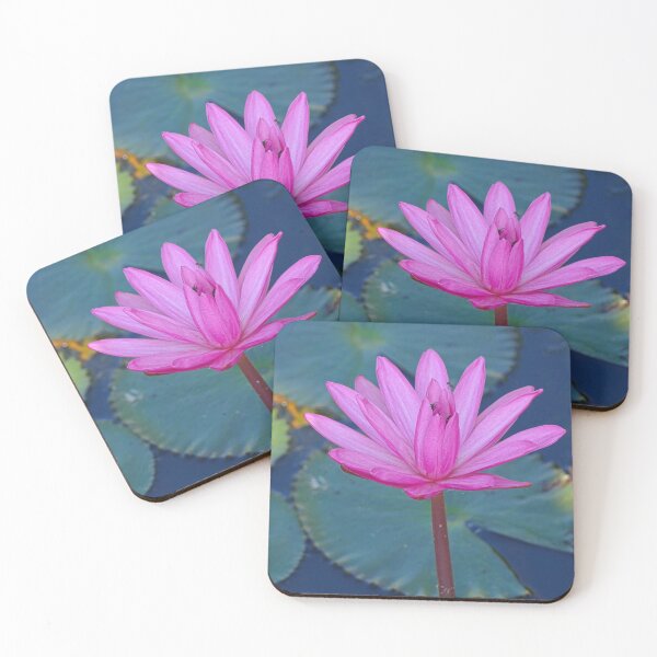 Item preview, Beautiful Pink Waterlily in a Dark Pond designed and sold by jaynerushton.