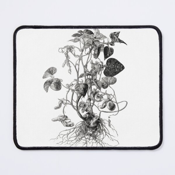 Item preview, Bean Sprouts  designed and sold by FernMillFarm.