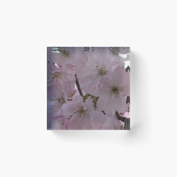 Item preview, Dusty Rose Windsor Whisky aElegance designed and sold by dishcutnes.
