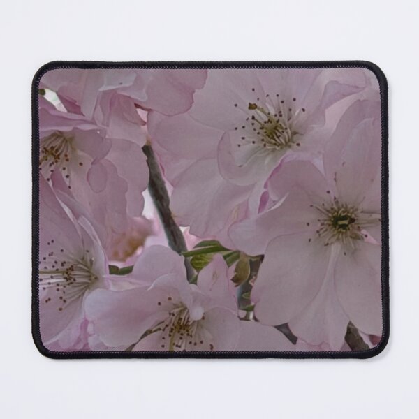 Item preview, Dusty Rose Windsor Whisky aElegance designed and sold by dishcutnes.