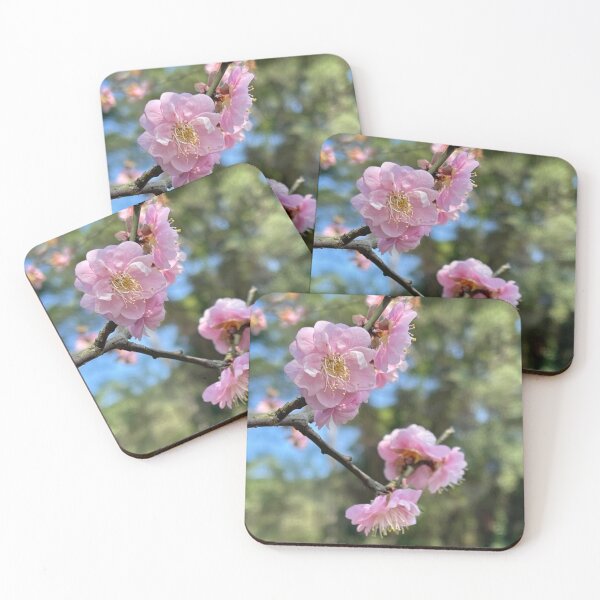 Item preview, Blush Pink The Capital Grille cWhispers designed and sold by dishcutnes.