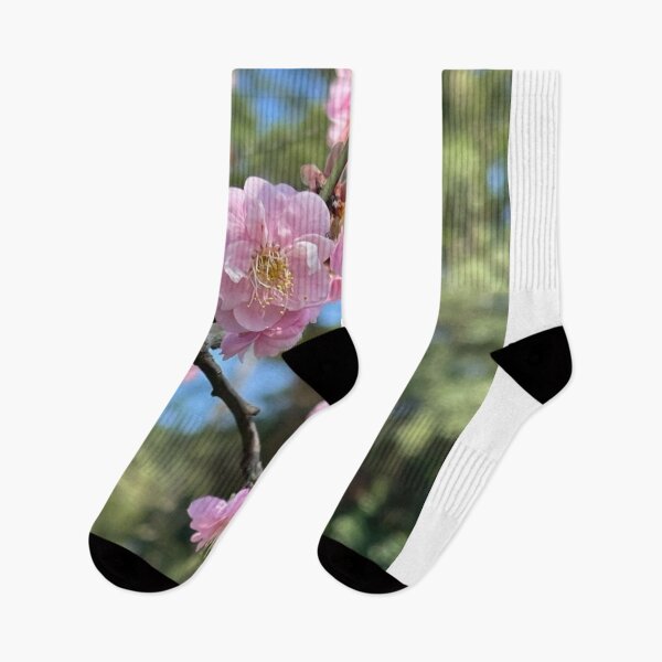 Item preview, Blush Pink The Capital Grille cWhispers designed and sold by dishcutnes.