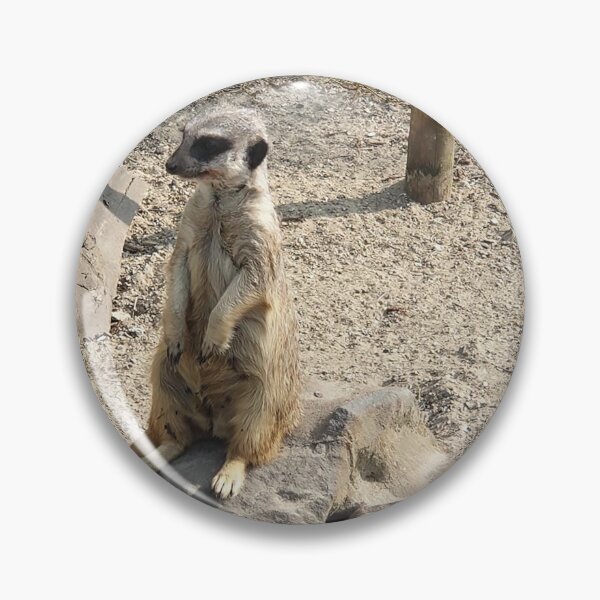 Item preview, “On Duty” Meerkat Standing Guard Wildlife Photo designed and sold by TheMarketplaceworld.