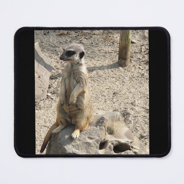 Item preview, “On Duty” Meerkat Standing Guard Wildlife Photo designed and sold by TheMarketplaceworld.