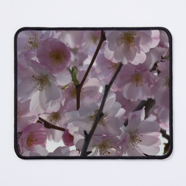 Item preview, Soft Rose Toca Mystery House cBlush designed and sold by dishcutnes.