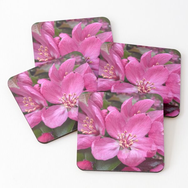 Item preview, Brilliance Unfolding designed and sold by Betsy Phillips.
