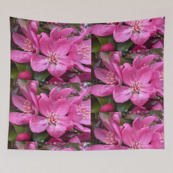 Item preview, Brilliance Unfolding designed and sold by Betsy Phillips.