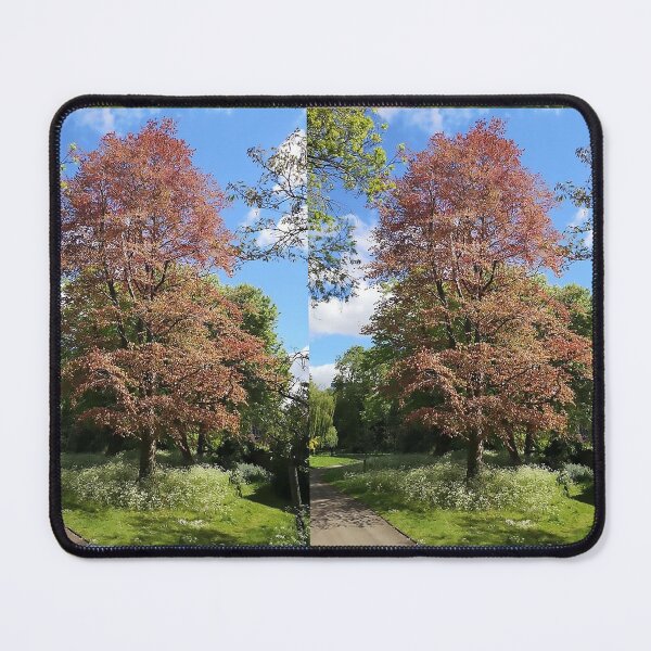 Item preview, Sunlit Autumn Tree Nature Landscape Peaceful Outdoor Scene designed and sold by TheMarketplaceworld.