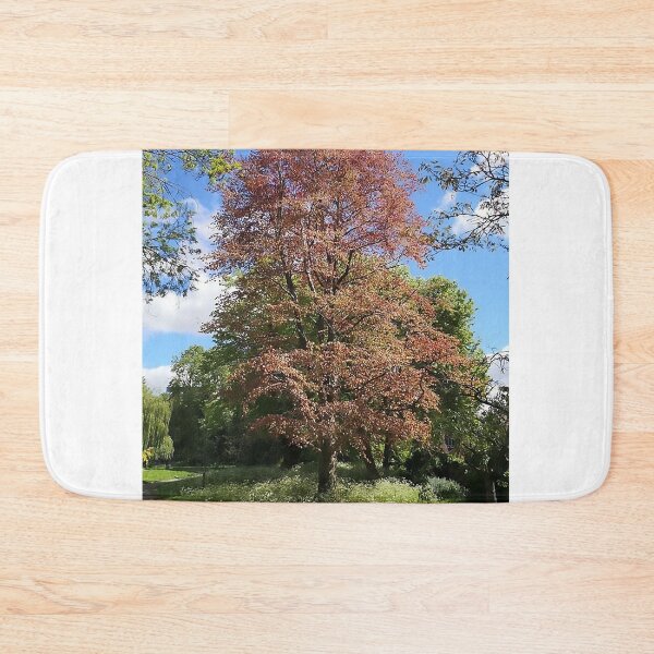 Item preview, Sunlit Autumn Tree Nature Landscape Peaceful Outdoor Scene designed and sold by TheMarketplaceworld.