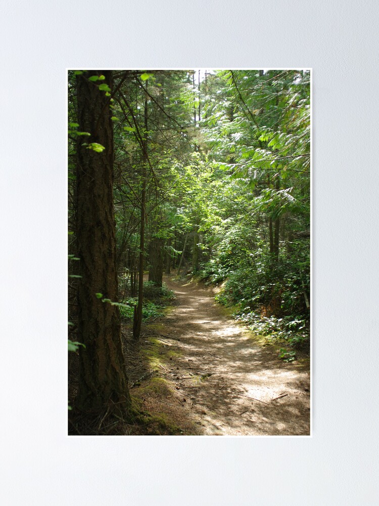 "Kettles Trail Whidbey Island" Poster by rrsum Redbubble