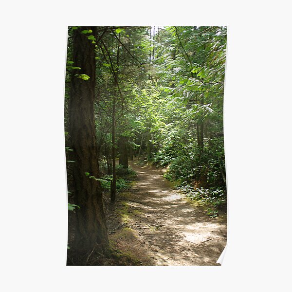 "Kettles Trail Whidbey Island" Poster by rrsum Redbubble
