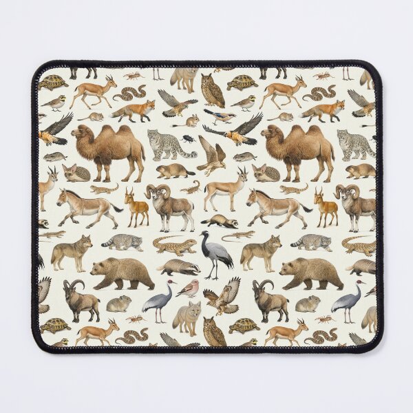 Item preview, Animals of the Gobi Desert Retro Style Identification Chart designed and sold by kakarikihill.