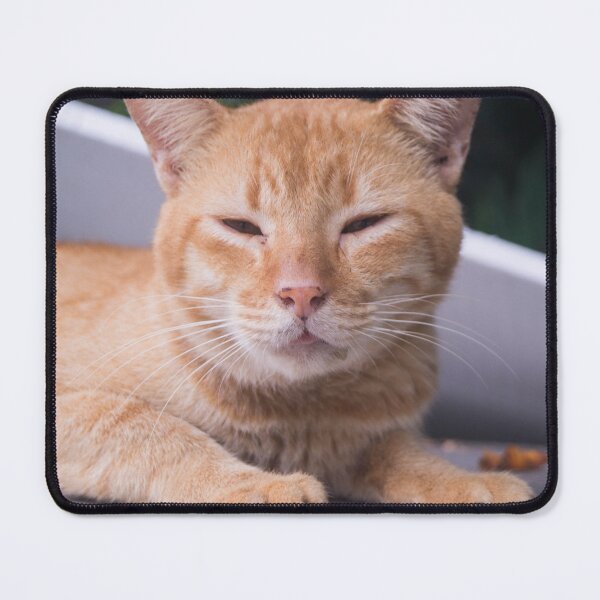 Item preview, Orange Kitty designed and sold by ROSE ANN BANILAR.