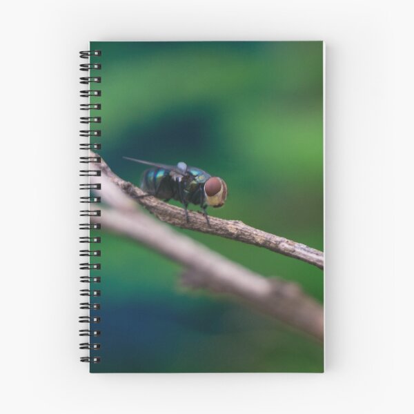 Item preview, Oriental Latrine Fly designed and sold by ROSE ANN BANILAR.