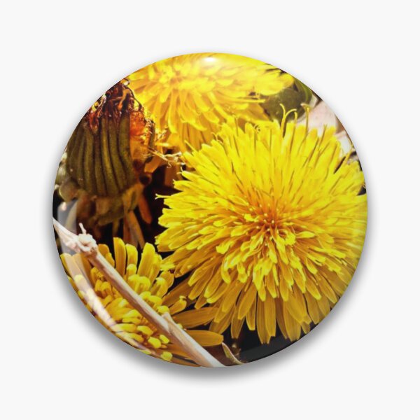 Item preview, Dandelions  designed and sold by Courtney Croxall.