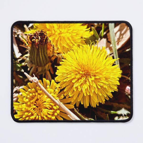 Item preview, Dandelions  designed and sold by Courtney Croxall.