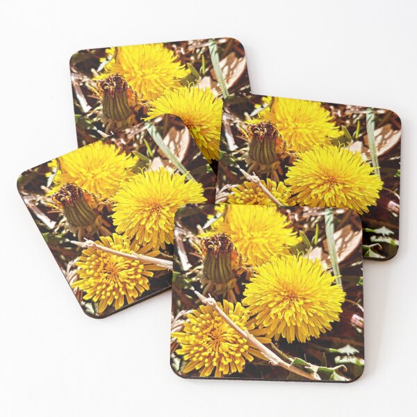 Item preview, Dandelions  designed and sold by Courtney Croxall.