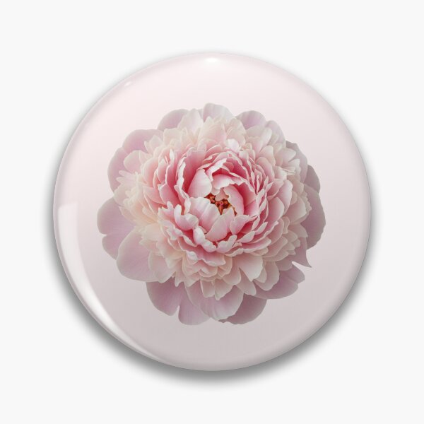 Item preview, Pink blush poeny designed and sold by Letter & Petal.