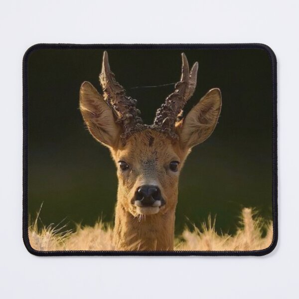 Item preview, Roe deer #4 designed and sold by The Adventure Never Ends !!!.