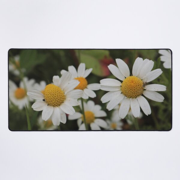 Item preview, Fresh White Daisies and Green Stems - Summer Wildflower Art designed and sold by vikko-art.