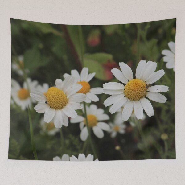 Item preview, Fresh White Daisies and Green Stems - Summer Wildflower Art designed and sold by vikko-art.
