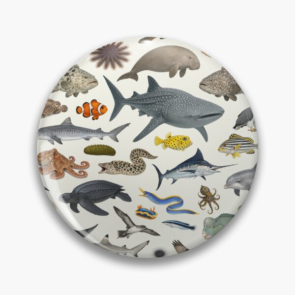 Item preview, Animals of the Great Barrier Reef Identification Chart designed and sold by kakarikihill.