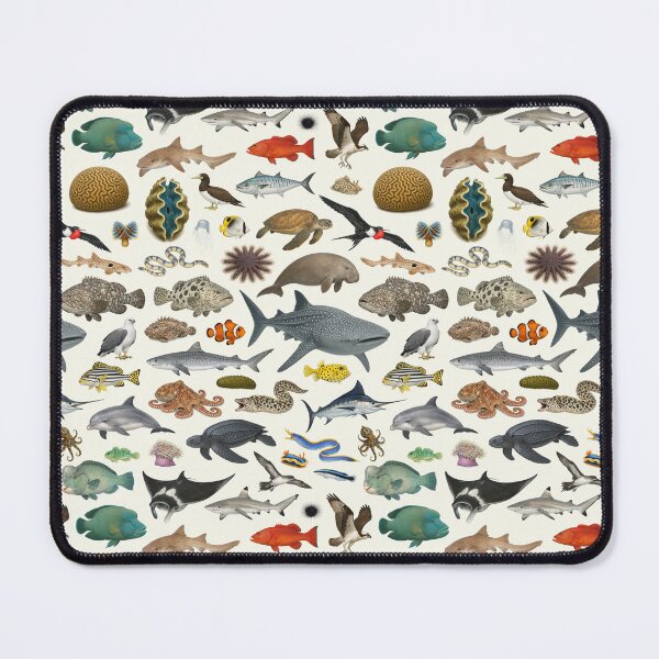 Item preview, Tabla de identificación de animales de la Gran Barrera de Coral designed and sold by kakarikihill.